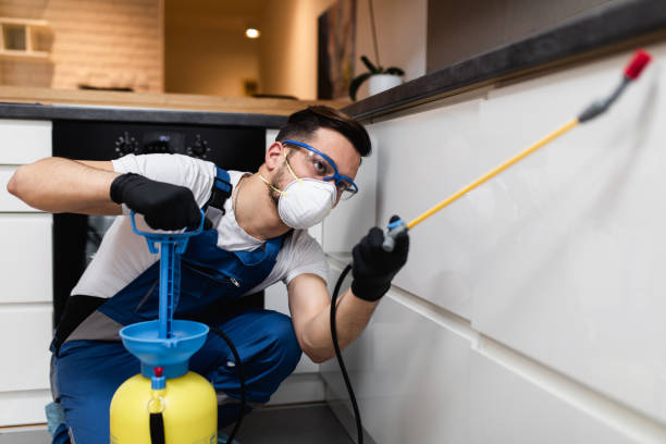 Best Pest Control Near Me in Perry, GA