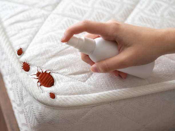 Best Residential Pest Control  in Perry, GA