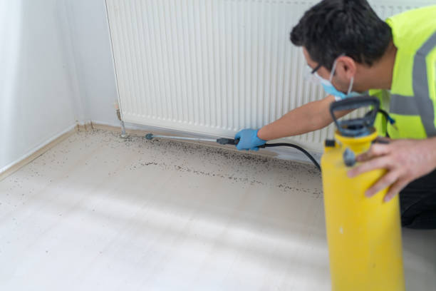Best Bed Bug Extermination  in Perry, GA